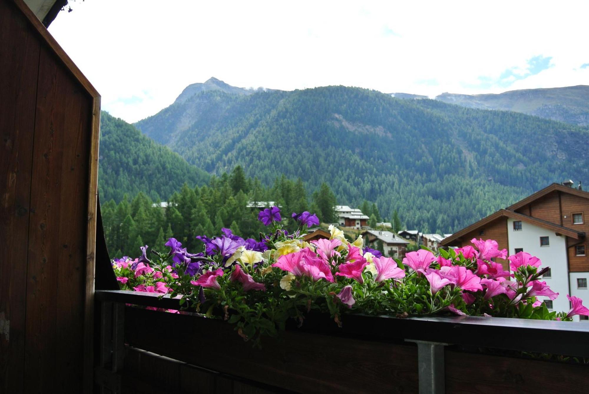 Apartment Aura Zermatt Room photo
